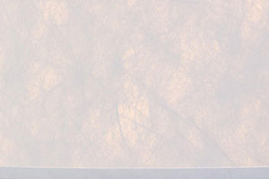 White Tyvek