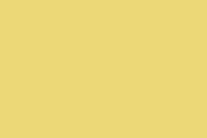 Yellow Lacquered Beech